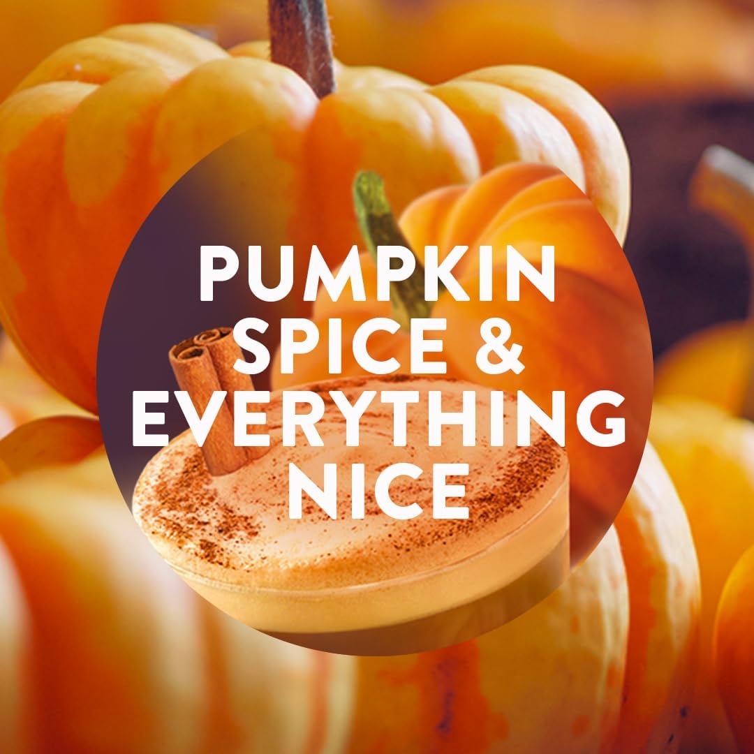 Air Wick Plug in Diffuser Refill - Pumpkin Spice & Everything Nice - Twin Pack