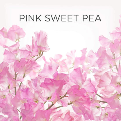 Air Wick Plug in Diffuser Refill, Pink Sweet Pea, Pack 6 x 19ml, Long Lasting Fragrance, Lasts up to 600 days, Plug in Air freshener