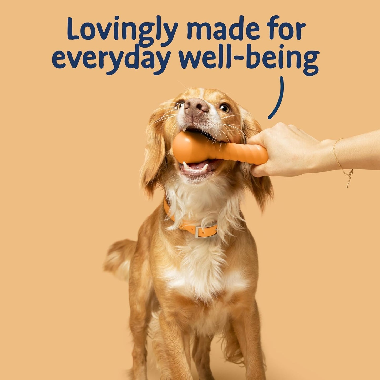 Barking Heads Complete Dry Dog Food 12kg - Adult All Hounder Bowl Lickin' Goodness Chicken - Natural Everyday Immunity & Vitality - Vet Approved