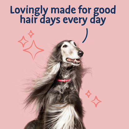 Barking Heads Complete Dry Dog Food 12kg - Adult All Hounder Hair Necessities Salmon - Natural Grain Free Hypoallergenic for Skin & Coat - Vet Approved